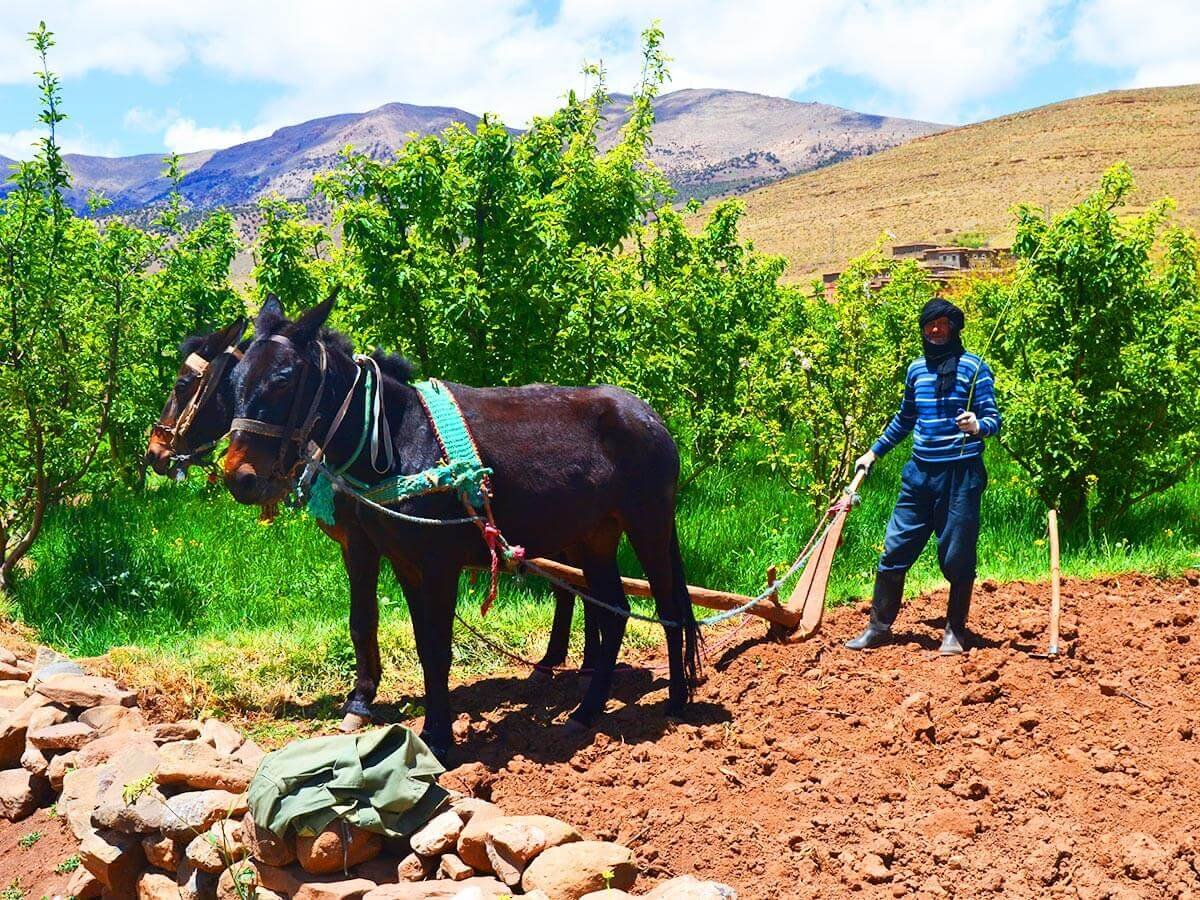 Trekking in valley of ait bouguemez Morocco